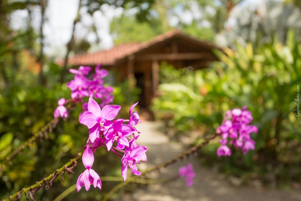 Casa Marcellino Lodge กาอุยตา ภายนอก รูปภาพ