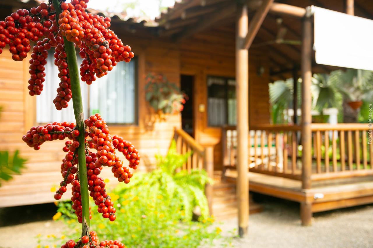 Casa Marcellino Lodge กาอุยตา ภายนอก รูปภาพ